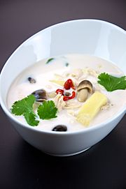 Flickr preppybyday 4711943668--Tom kha gai