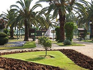 Flower garden in ramat gan