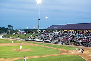 Fox Cities Stadium 2014