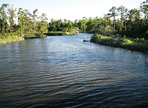 Henderson Bayou