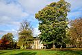 Hexham Park - panoramio