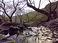 Iran-Karaj montains