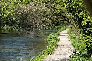 Itchen Navigation and path