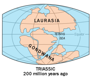 Laurasia-Gondwana