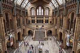 Natural History Museum, London (long exposure)