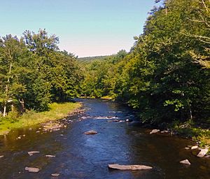 Neversink River at Oakland Valley, NY.jpg