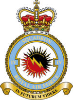 Squadron badge