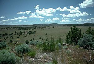 Oregon High Desert