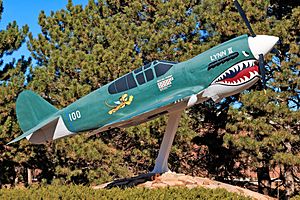 P40 Aircraft Replica