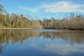 Palmetto Island State Park.jpg