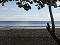 Playa Negra, Puerto Viejo