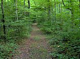 Sinkhole-trail-norris-tn1