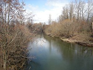 South Fork Snoqualmie looking north from SR-202