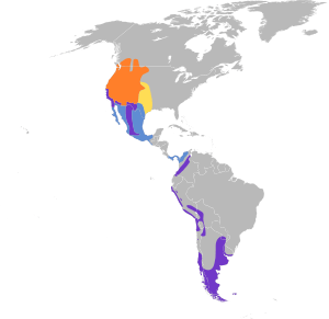 Spatula cyanoptera map.svg