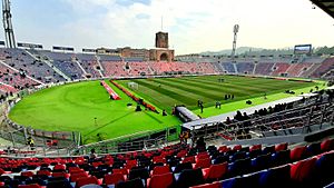 Stadio Dall'Ara 01-02-2020