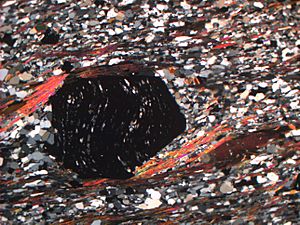 Thin section of garnet-mica-schist