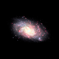 Triangulum galaxy