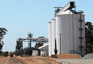 Yealering grain receival and storage