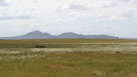 You-yangs-victoria-australia.jpg