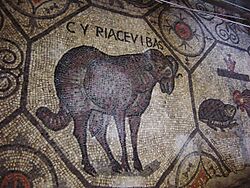 Aquileia, Basilica. Montone Foto Giovanni Dall'Orto