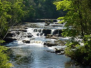 Aysgarth High Force