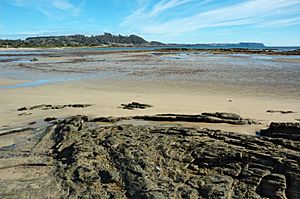 Beach-Somerset-Tasmania-20070423-005