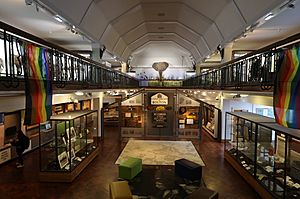 Bolton museum interior elephant