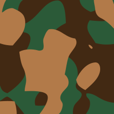 Camouflage