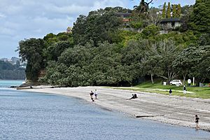 Cockle Bay, Auckland 02