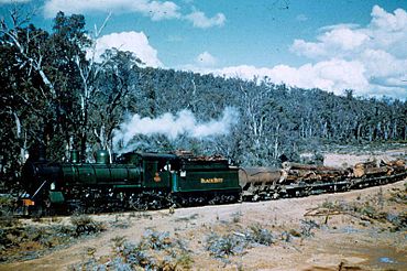 Cs270, Banksiadale line, ca. 1960.jpg