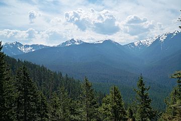 Cumbres del Ajusco.jpg