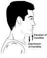 Elevation and Depression