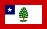 Flag of Mississippi (1861–1865)