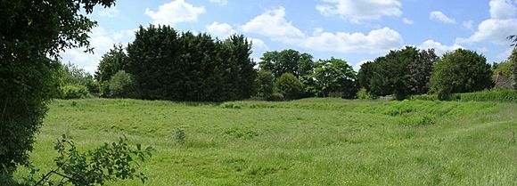 Flowerdown disc barrow panorama