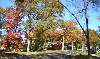 Furnace Brook Parkway Quincy MA.jpg