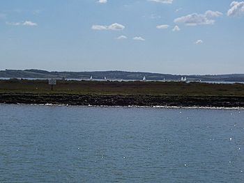 Gull Island - geograph.org.uk - 52463.jpg