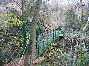 Gunners Pool Bridge, Castle Eden Dene.jpg