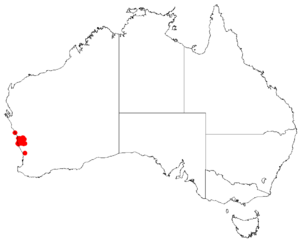 Hakea eneabbaDistMap43.png