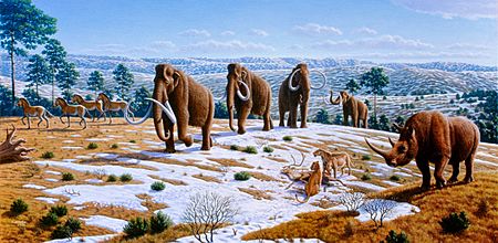 Ice age fauna of northern Spain - Mauricio Antón