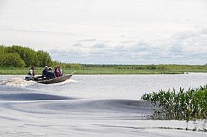 Kakagon Sloughs