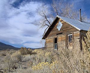 Abandoned house in Lida