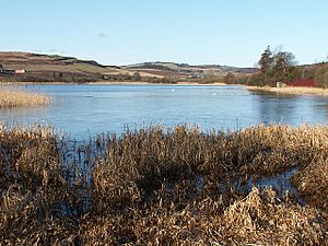 Lindores Loch.jpg