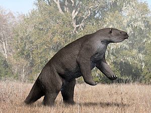 Megatherium NT small