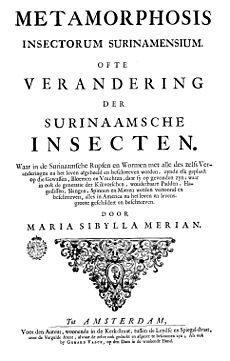 Merian Metamorphosis Titel