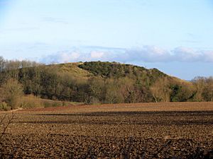 Mound by quarry - geograph.org.uk - 323832.jpg