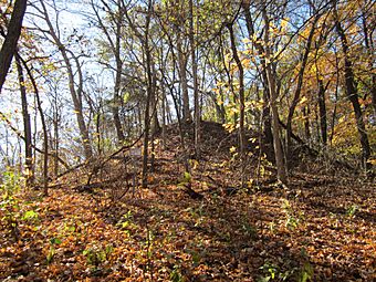 Naples-Russel Mound 8.jpg