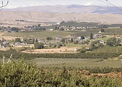 Orchards near Selah WA