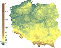 Polska relief.jpg