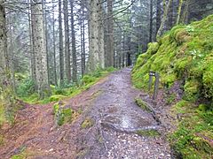 Puck's Glen 20170416 1042