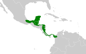 Pyrilia haematotis map.svg
